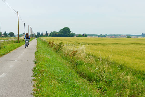 cicloturismo campagna Polesana e fiume Po