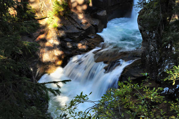 Paneveggio Pale di San Martino