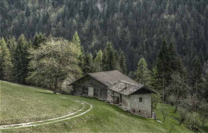 Conca di Primiero, valle del Cismon