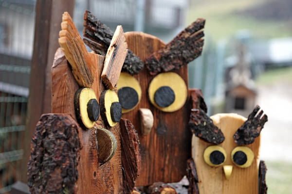 Mezzano, conca di Primiero, Trentino Dolomiti