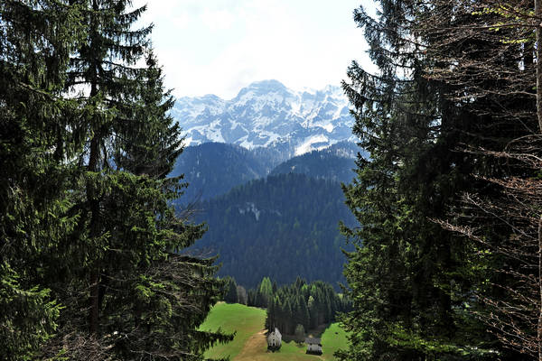 Cordogn&egrave;, prati San Giovanni, Val Noana Mezzano