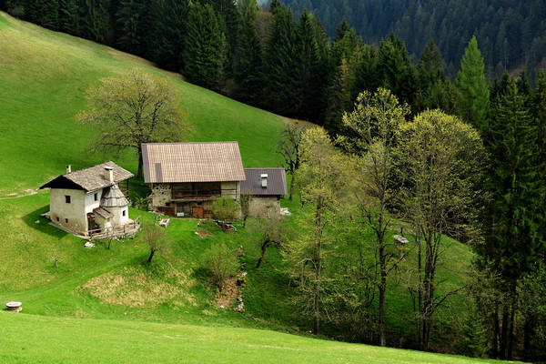 Cordogn&egrave;, prati San Giovanni, Val Noana Mezzano