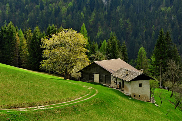 Cordogn&egrave;, prati San Giovanni, Val Noana Mezzano