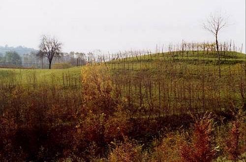 colori d'autunno nei colli Asolani