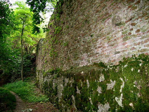 Susegana, Castello di Collalto