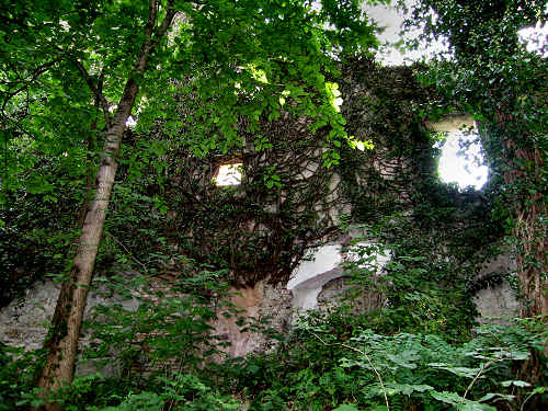 Susegana, Castello di Collalto