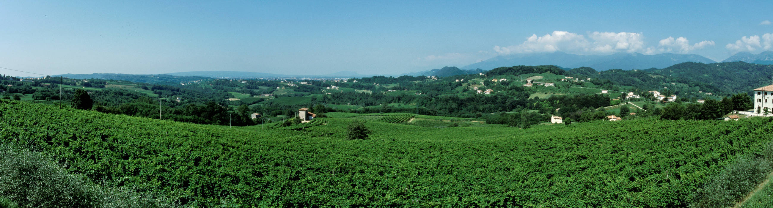 San Pietro di Feletto