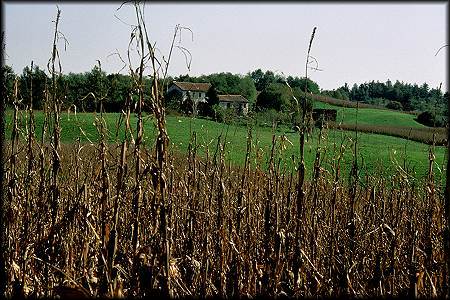 fotografie del Montello