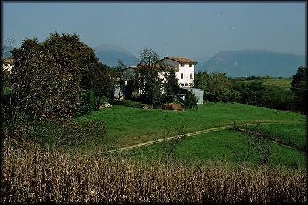 fotografie del Montello