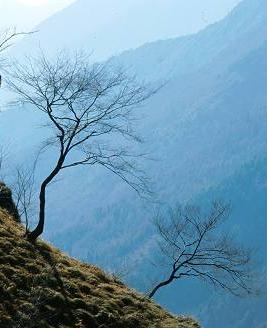 TV1 Alta Via delle Prealpi Trevigiane Sentiero Panoramico dal Grappa al Cansiglio