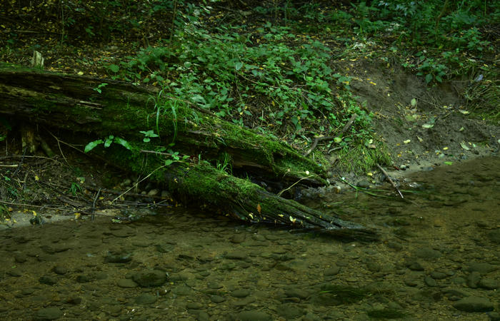 Parco del Piave Settolo Basso a Bigolino di Valdobbiadene