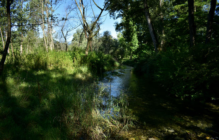 Parco del Piave Settolo Basso a Bigolino di Valdobbiadene