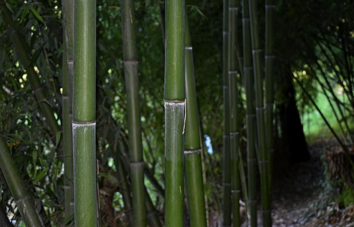 Parco del Piave Settolo Basso a Bigolino di Valdobbiadene