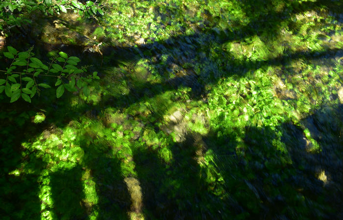 Parco del Piave Settolo Basso a Bigolino di Valdobbiadene