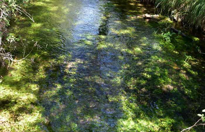 Parco del Piave Settolo Basso a Bigolino di Valdobbiadene