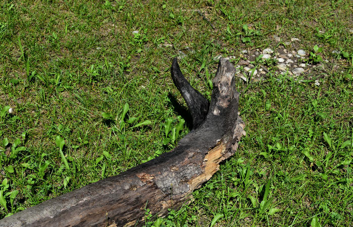 Parco del Piave Settolo Basso a Bigolino di Valdobbiadene