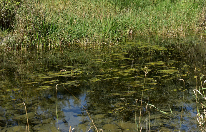 Parco del Piave Settolo Basso a Bigolino di Valdobbiadene