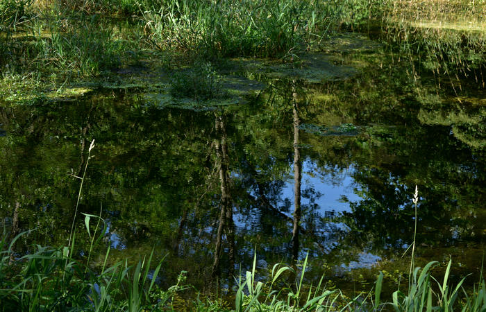 Parco del Piave Settolo Basso a Bigolino di Valdobbiadene