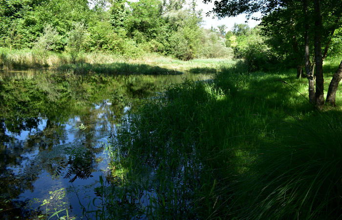 Parco del Piave Settolo Basso a Bigolino di Valdobbiadene