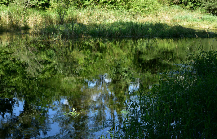 Parco del Piave Settolo Basso a Bigolino di Valdobbiadene