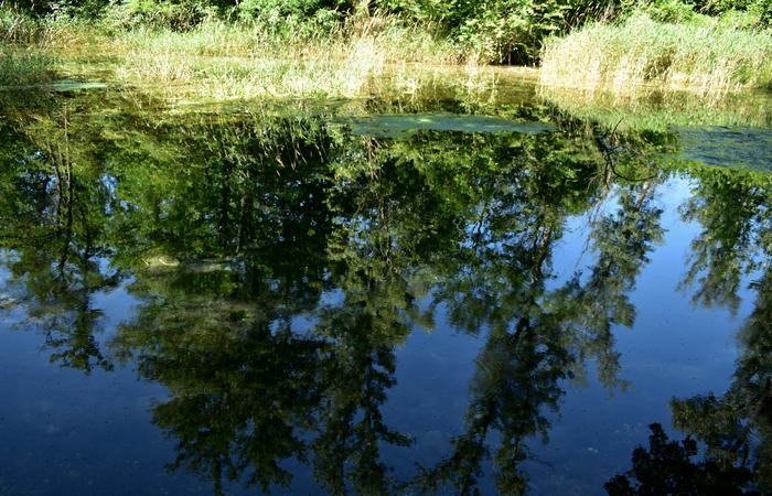 Parco del Piave Settolo Basso a Bigolino di Valdobbiadene