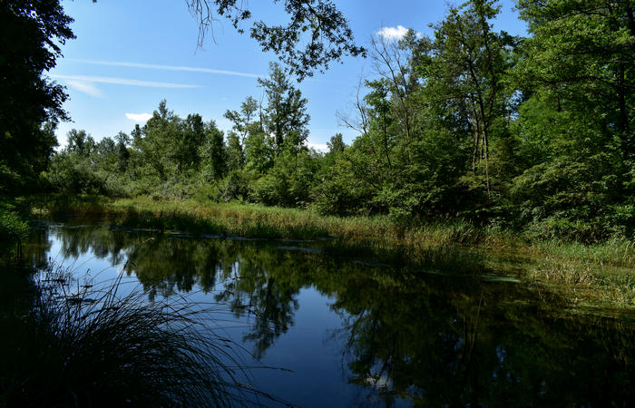 Parco del Piave Settolo Basso a Bigolino di Valdobbiadene