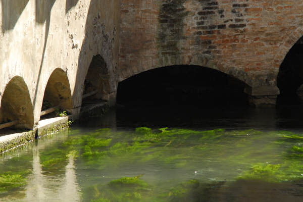 Treviso, acque del Sile e del Cagnan