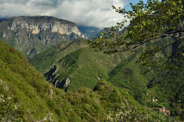 Altavia del Tabacco