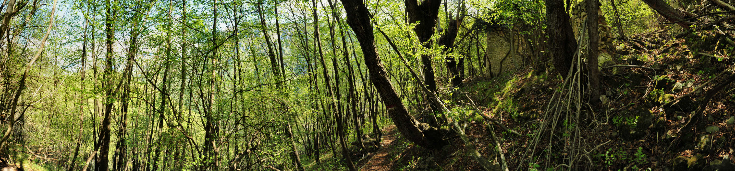 Alta Via del Tabaccco