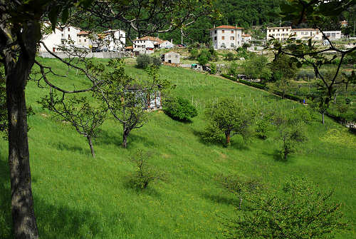 Caluga, Valrovina