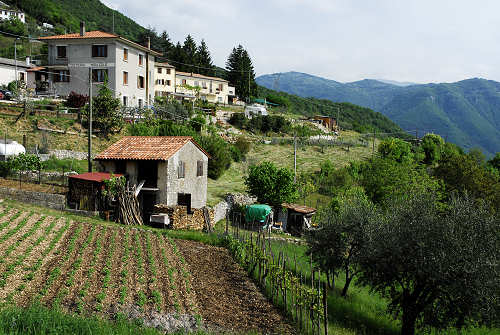 Caluga, Valrovina