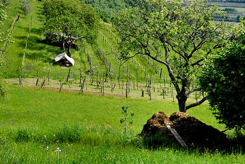 Caluga, Valrovina