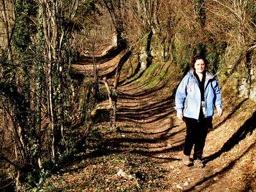 sentiero dei castelli, Borgo Valsugana