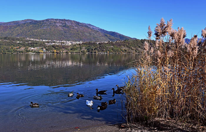 Lago di Caldonazzo, Alta Valsugana, Levico-Caldonazzo