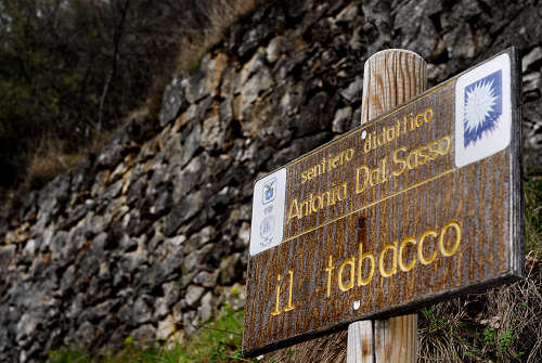 Sentiero Didattico Antonia Dal Sasso a Gualiva di Campolongo