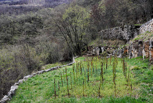 Sentiero Didattico Antonia Dal Sasso a Gualiva di Campolongo