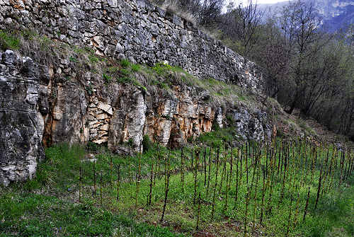 Sentiero Didattico Antonia Dal Sasso a Gualiva di Campolongo