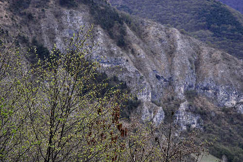 Sentiero Didattico Antonia Dal Sasso a Gualiva di Campolongo