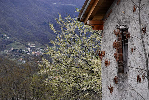 Sentiero Didattico Antonia Dal Sasso a Gualiva di Campolongo