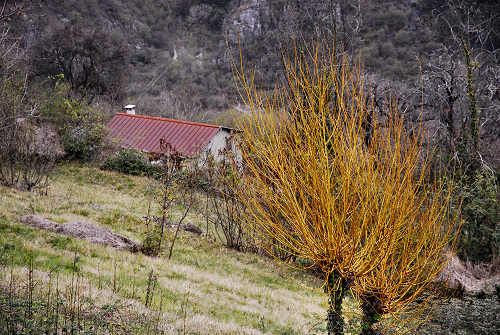 Sentiero Didattico Antonia Dal Sasso a Gualiva di Campolongo