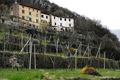 Sentiero Didattico Antonia Dal Sasso a Gualiva di Campolongo