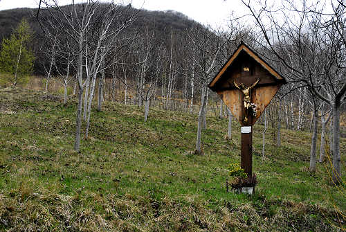 Sentiero Didattico Antonia Dal Sasso a Gualiva di Campolongo