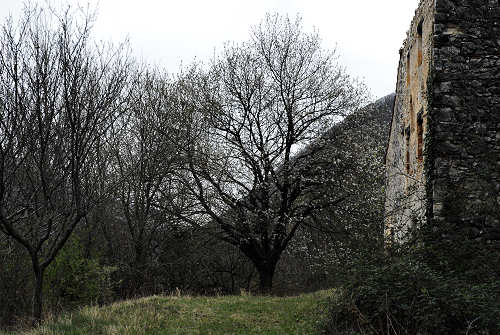 Sentiero Didattico Antonia Dal Sasso a Gualiva di Campolongo