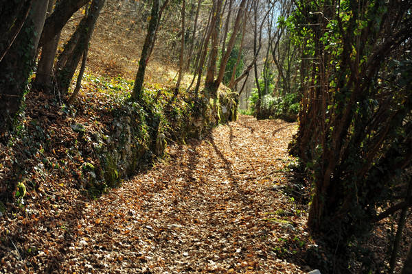 Cismon, Canal di Brenta, Strada del Genio, Col del Gallo, Incino, Diga di Corlo