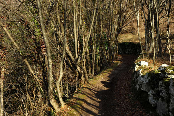 Cismon, Canal di Brenta, Strada del Genio, Col del Gallo, Incino, Diga di Corlo