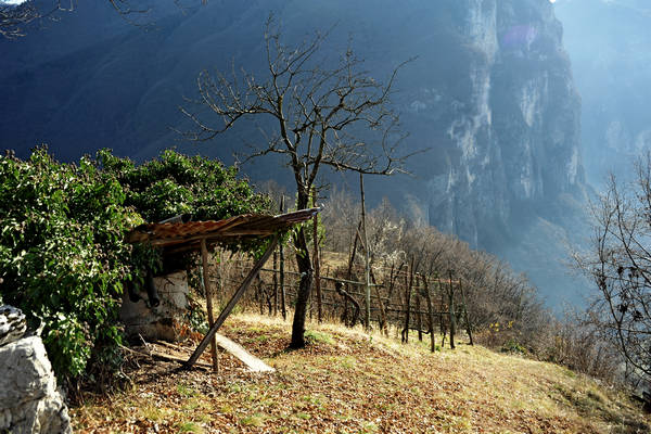 Cismon, Canal di Brenta, Strada del Genio, Col del Gallo, Incino, Diga di Corlo