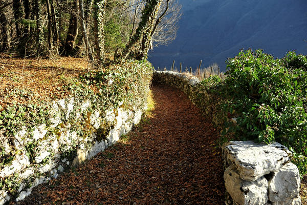 Cismon, Canal di Brenta, Strada del Genio, Col del Gallo, Incino, Diga di Corlo