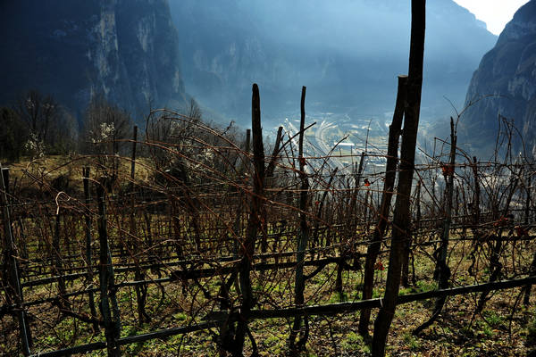 Cismon, Canal di Brenta, Strada del Genio, Col del Gallo, Incino, Diga di Corlo