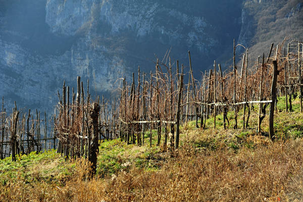 Cismon, Canal di Brenta, Strada del Genio, Col del Gallo, Incino, Diga di Corlo