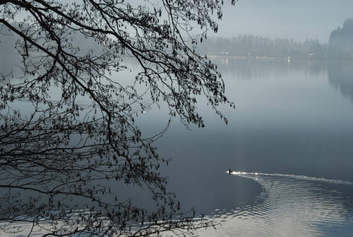 Lago di Levico e Tenna